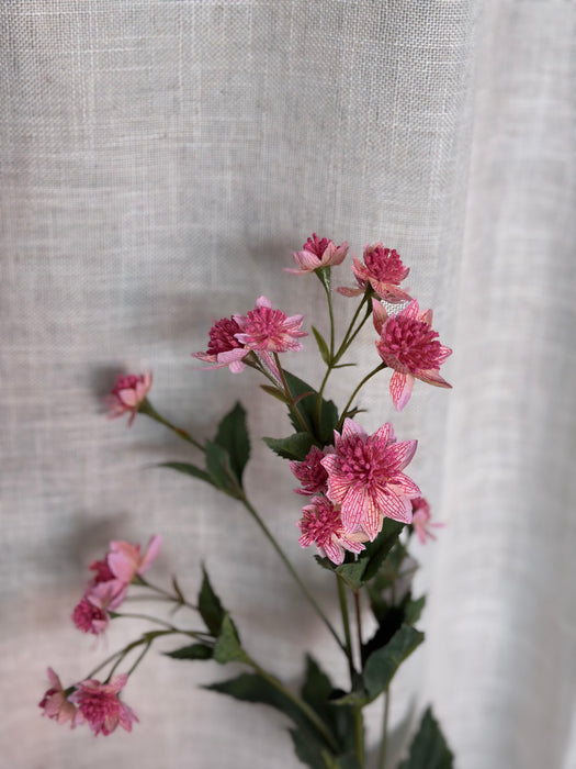 FIORI DI LENA  Stelo con Fiori di Astrania Rosa